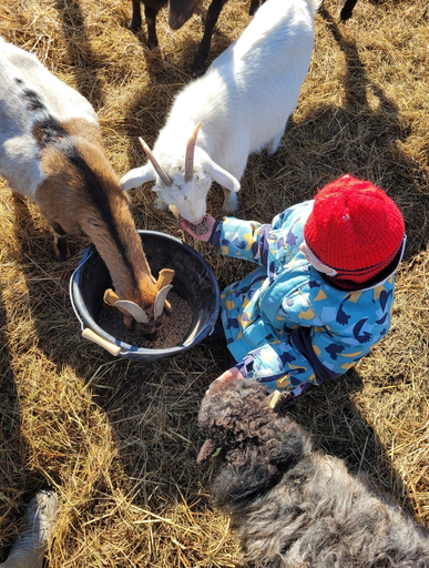 [MAI60] 1h de médiation animale individuelle 